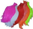 Chinese Cock Capes