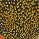 Jungle Cock Capes
